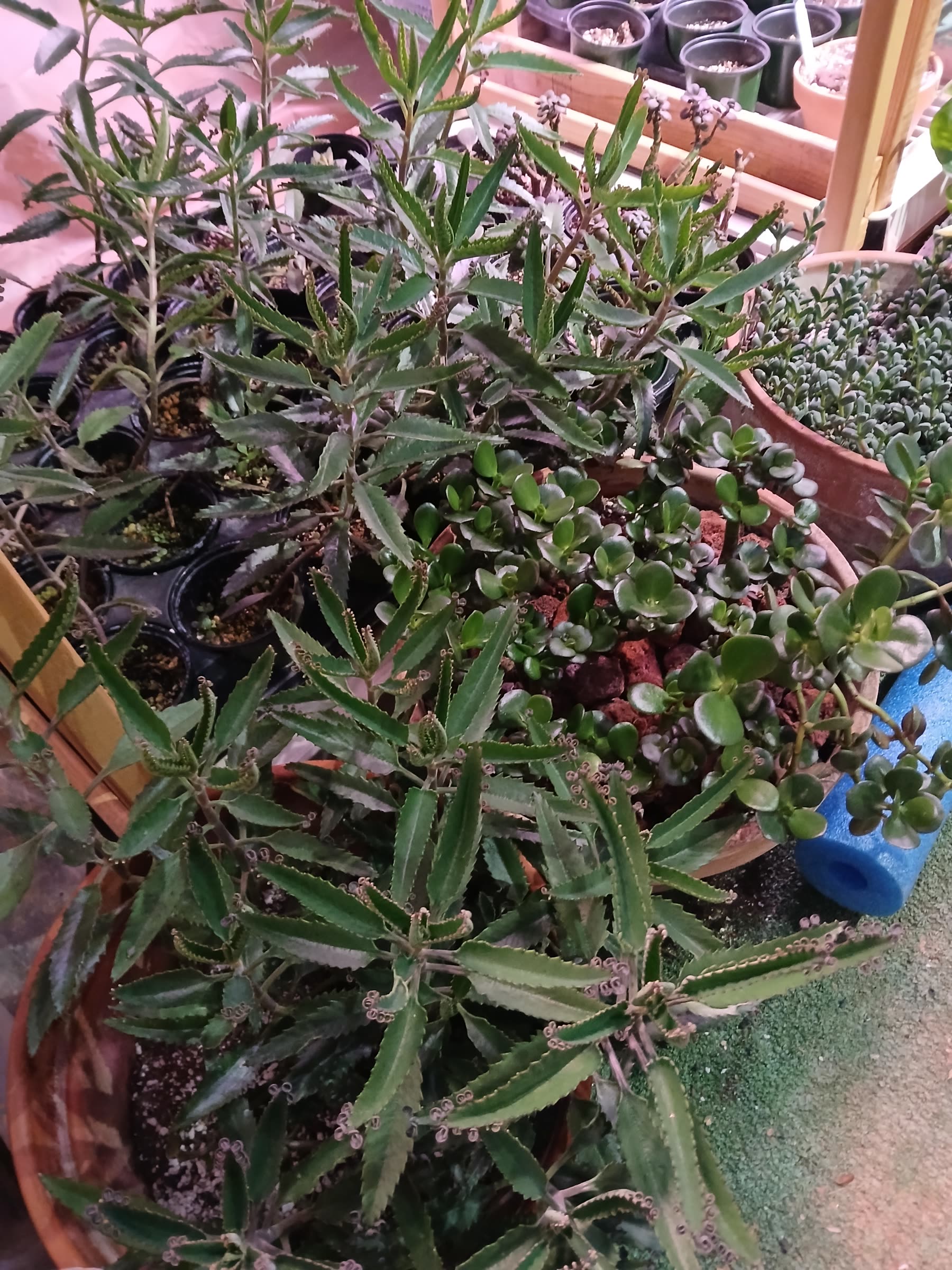 A store built for repeat visits