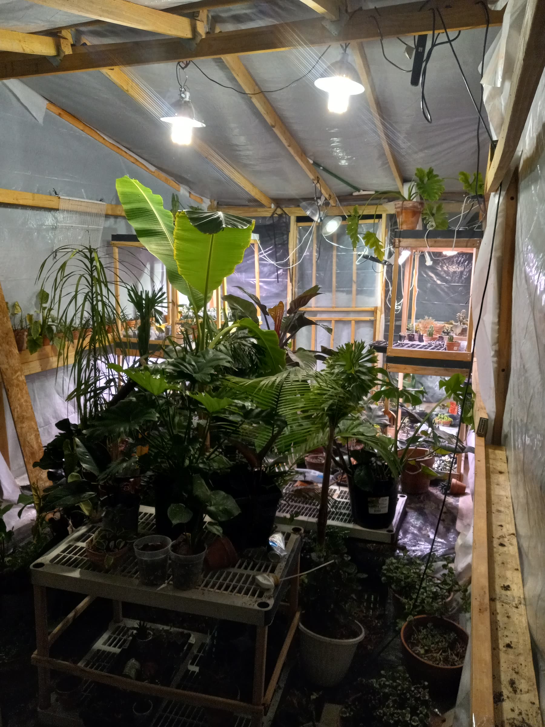 Custom soils, fertilizers, and plant nutrition