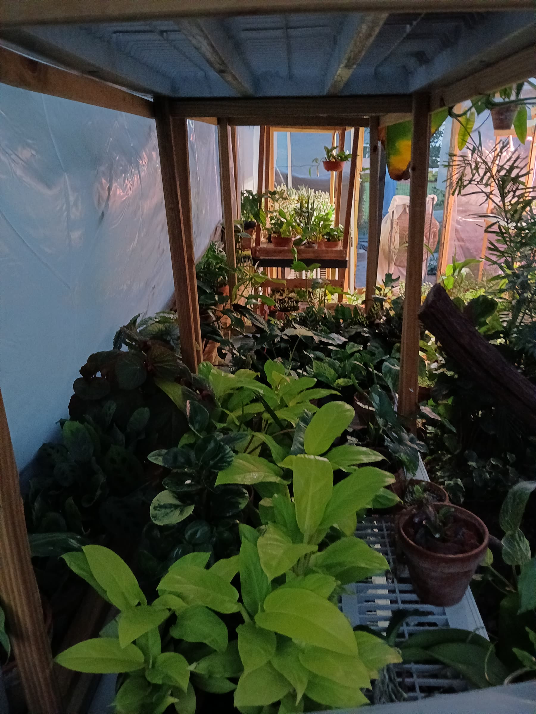 33 Winterberry Ln, Candler, NC 28715.